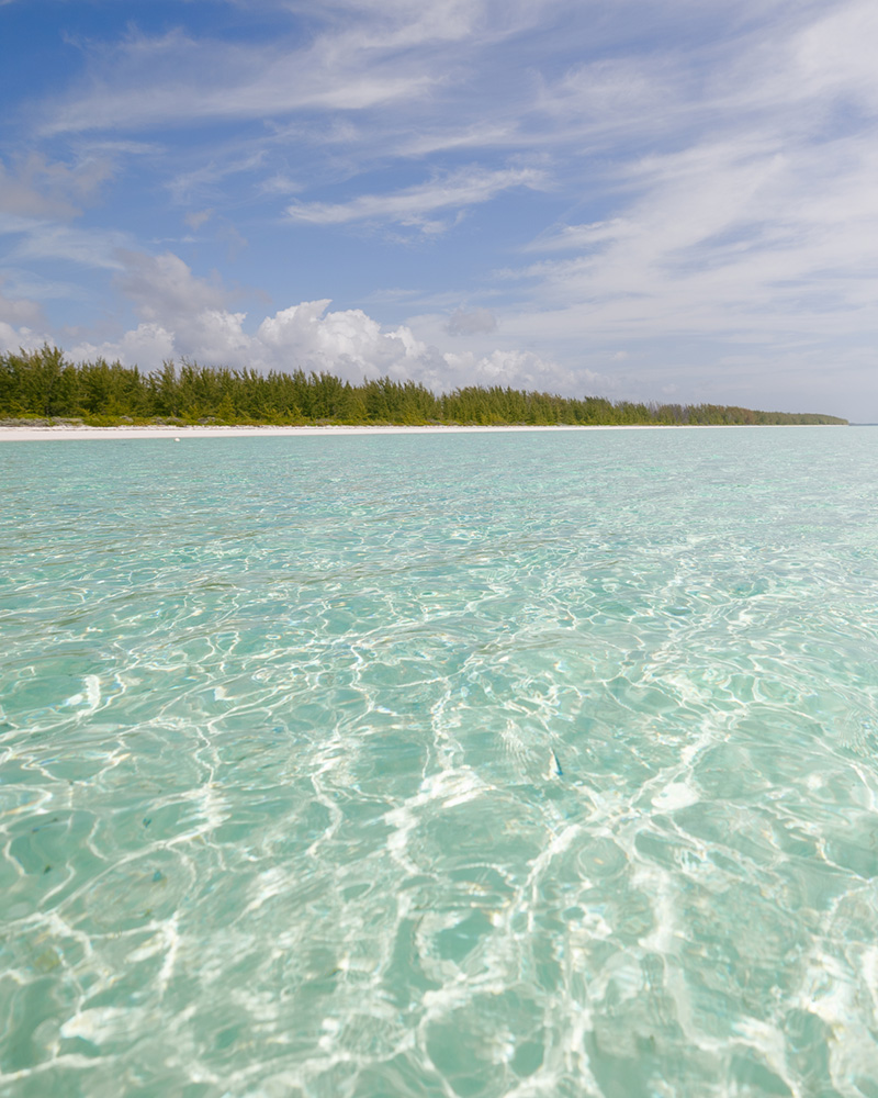The clear, shallow turquoise waters of Andros Island